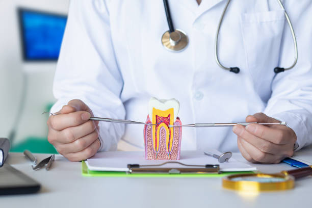 Best Emergency Treatment for Oral Infections in Throop, PA
